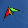 A soaring kite - image courtesy of Wikimedia 